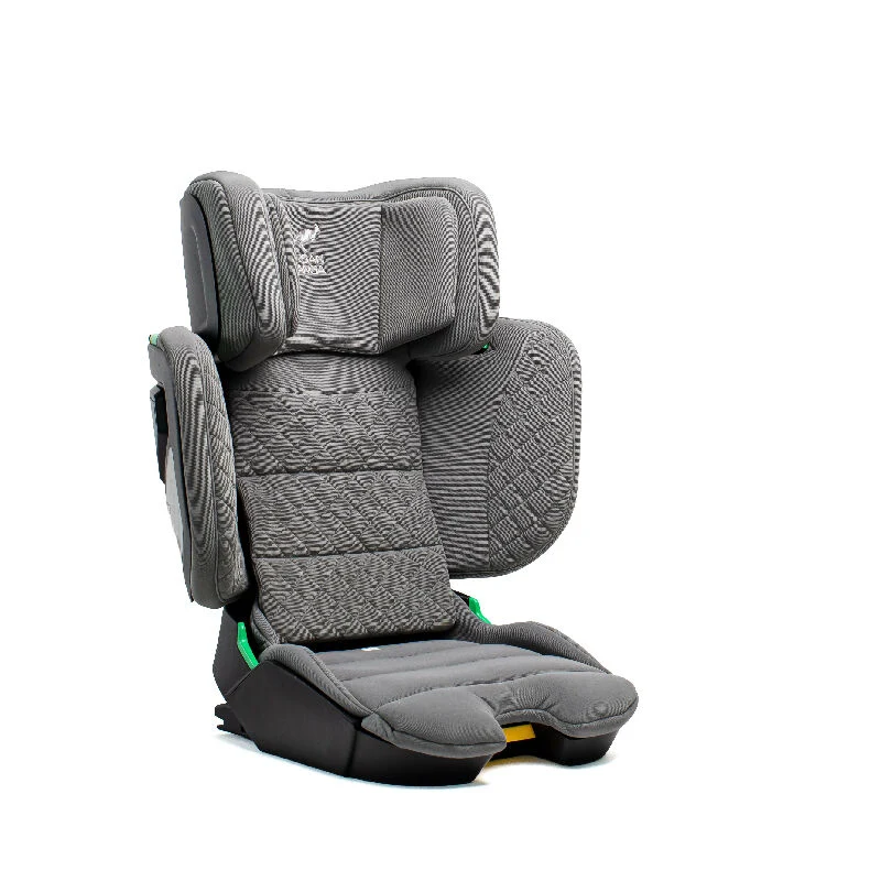 Wallaroo 2.0 – klappbarer Kindersitz 100–150 cm, Anthrazit