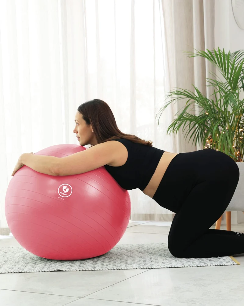 BABYGO® Geburtsball Altes Logo