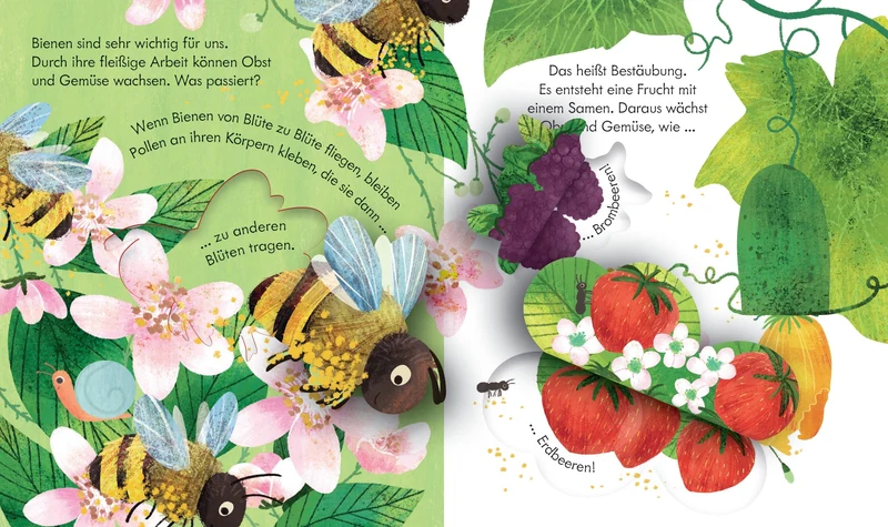 Usborne Kinderbuch mit Klappen und Gucklöchern: Bei den Bienen 3J+
