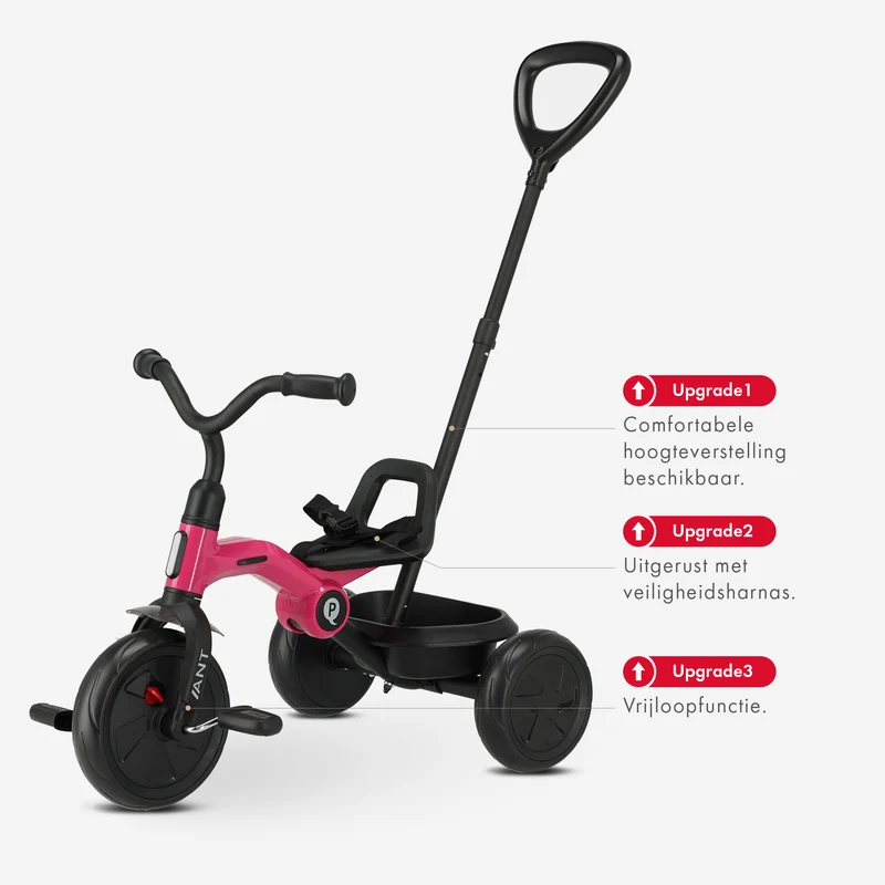 Qplay Ameisen Dreirad mit Schiebestange - Pink
