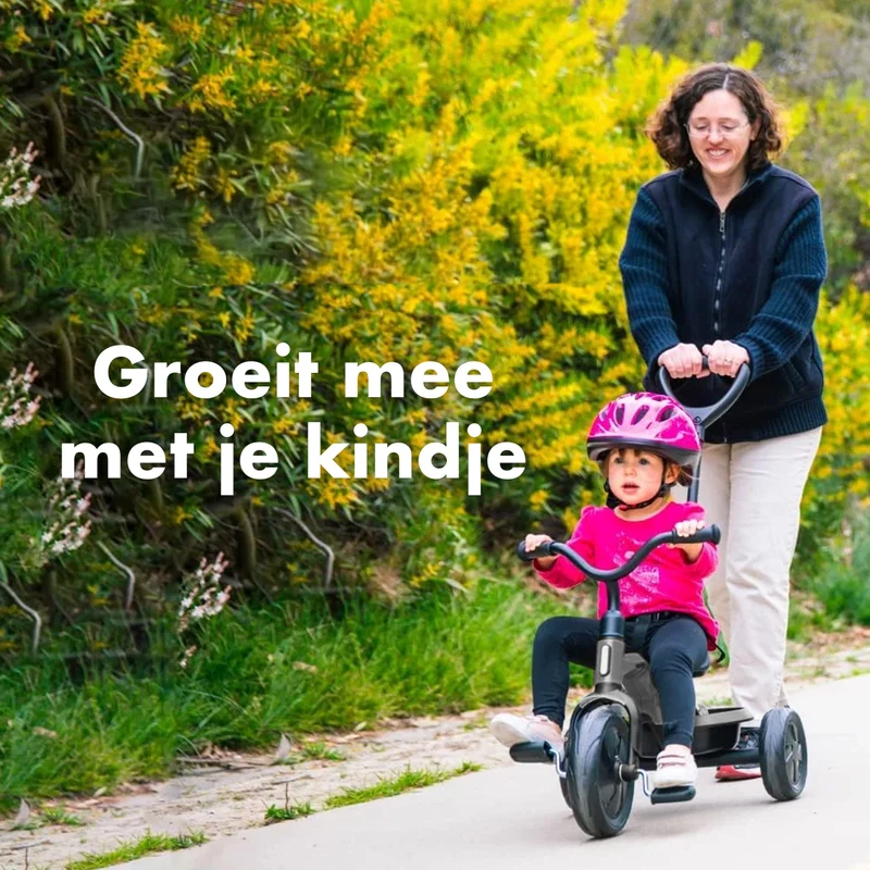 Qplay Ant Dreirad mit Schiebestange - Grau