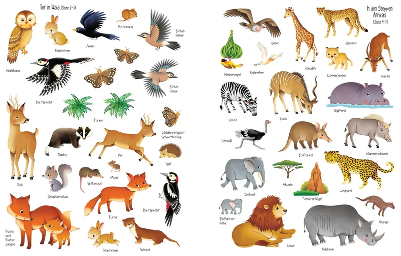 Usborne Kinder Stickerbuch: In der Natur