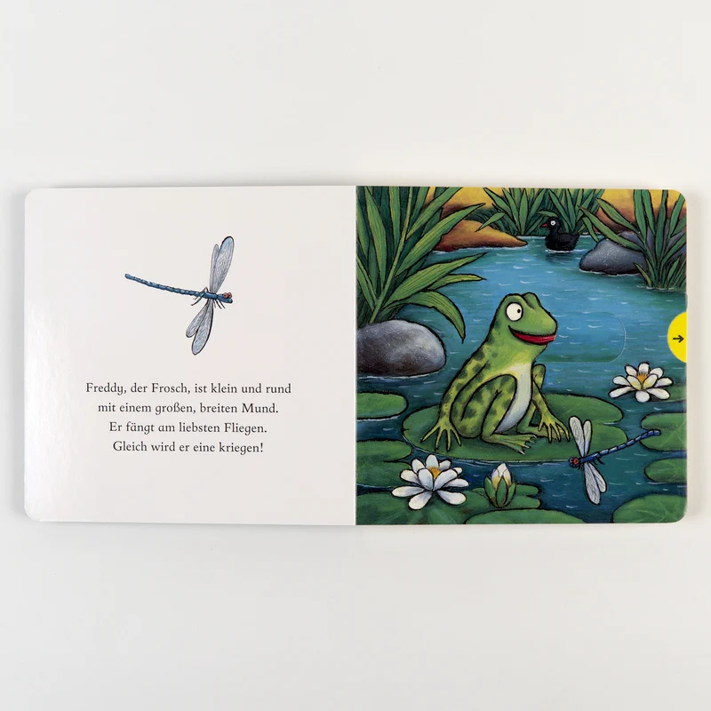 Freddy, der Frosch Schiebebuch von Axel Scheffler