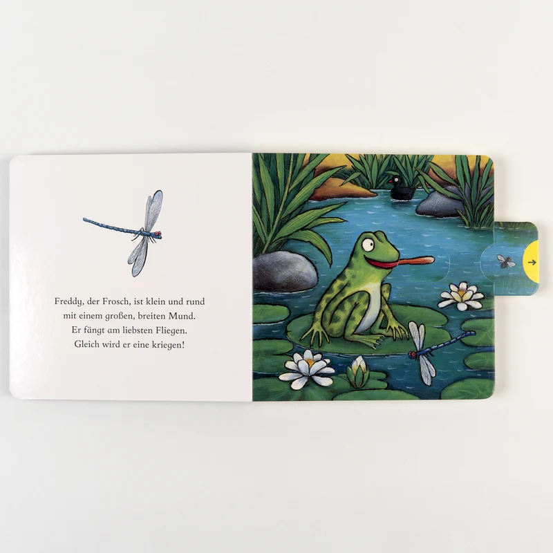 Freddy, der Frosch Schiebebuch von Axel Scheffler