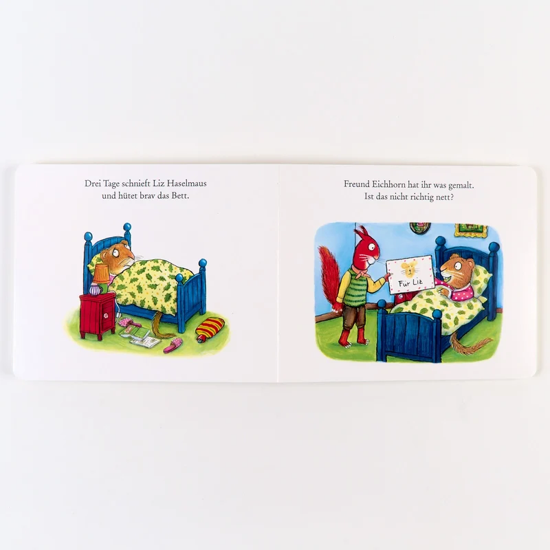 Liz Haselmaus ist heute krank Klappenbuch von Scheffler & Donaldson