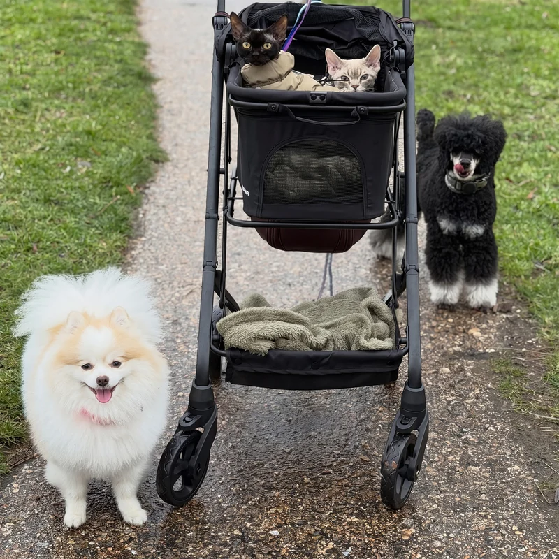 Deryan Luxuriöser zusammenklappbarer Hundekinderwagen - Haustierkinderwagen - Schwarz