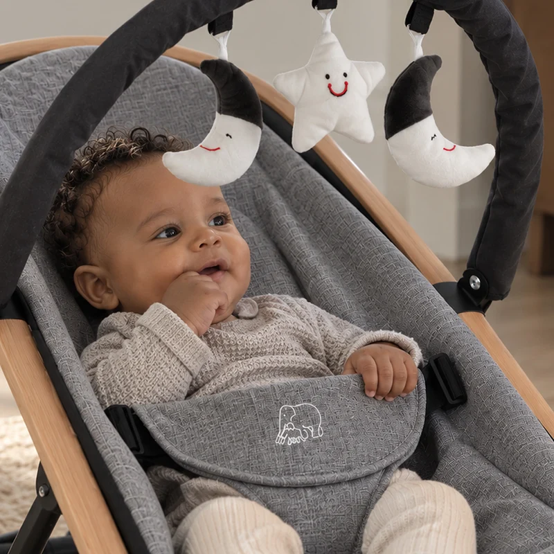 Deryan Babywippe Rocker Luxe 2-in-1 - Grau