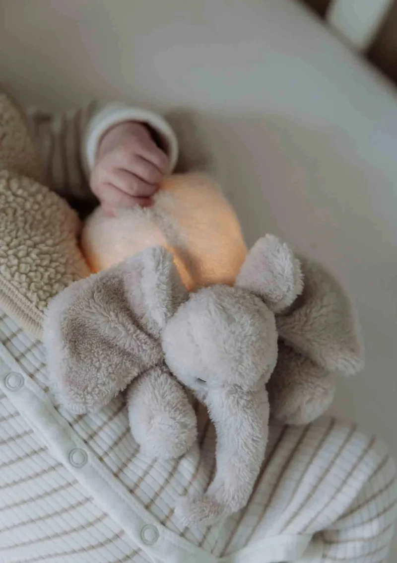 Kuscheltier mit Nachtlicht 'George' blush