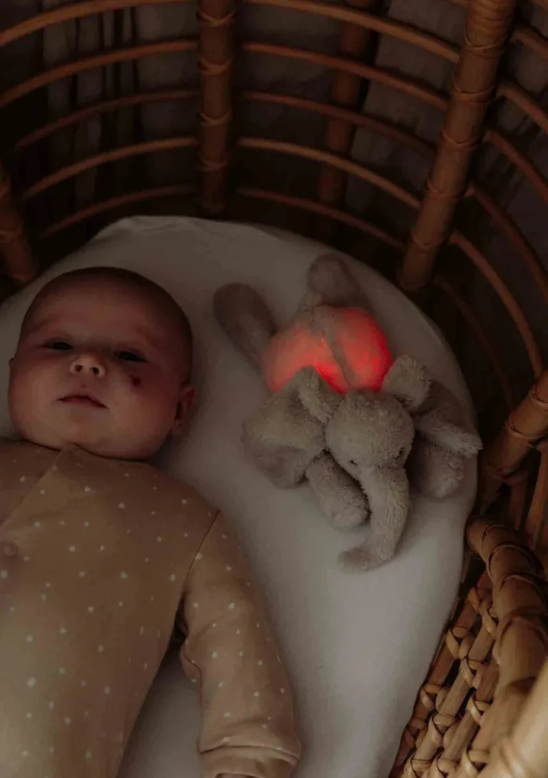 Kuscheltier mit Nachtlicht 'George' blush