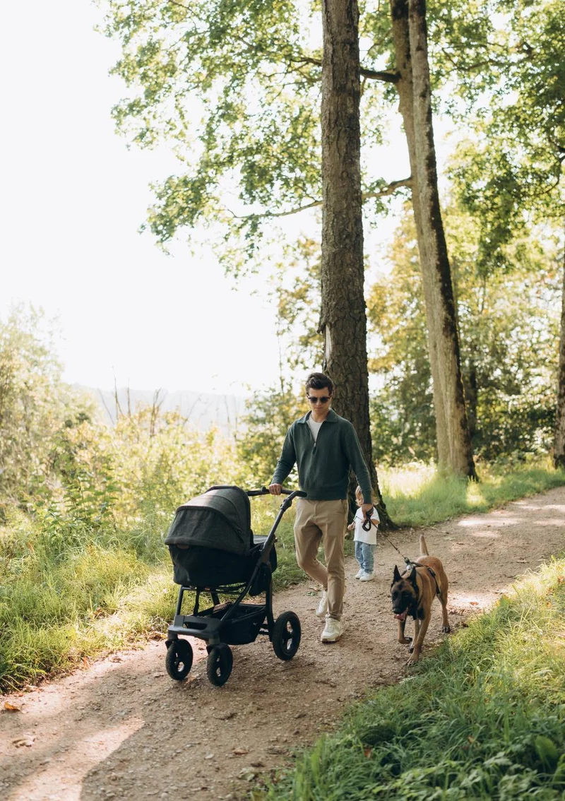 Kinderwagen-Set 'mono4'