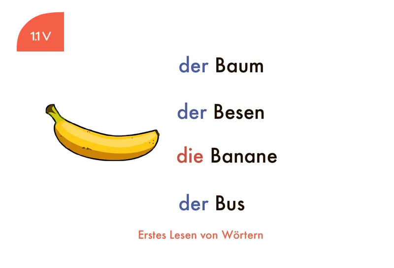 Kartensatz "Erstes Lesen von Wörtern" für den Lochkasten (1. Klasse)