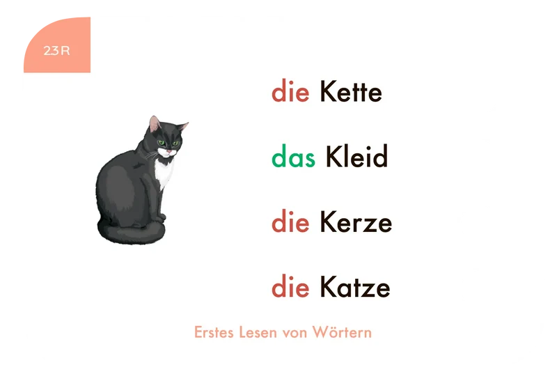 Kartensatz "Erstes Lesen von Wörtern" für den Lochkasten (1. Klasse)