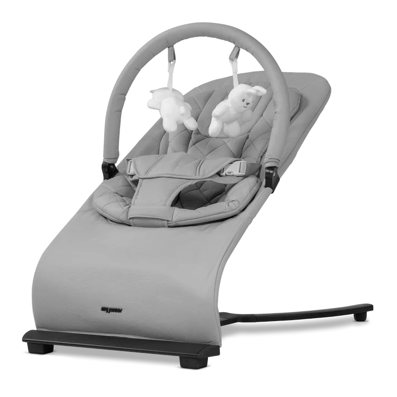 my Junior Motion Bouncer Babywippe