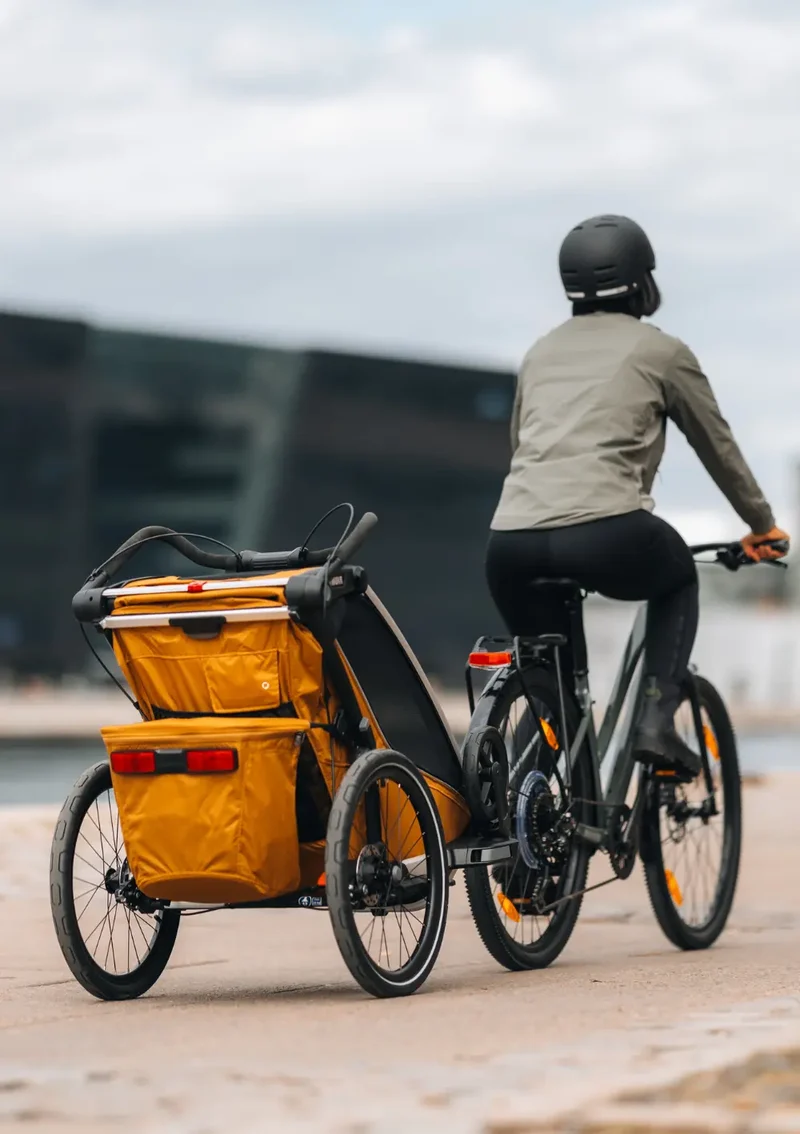 Multisport-Fahrradanhänger 'Chariot Sport 2 Single' Natural Gold
