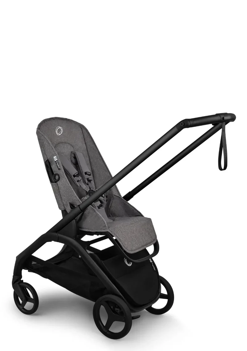Basis-Set 'Dragonfly Plus'