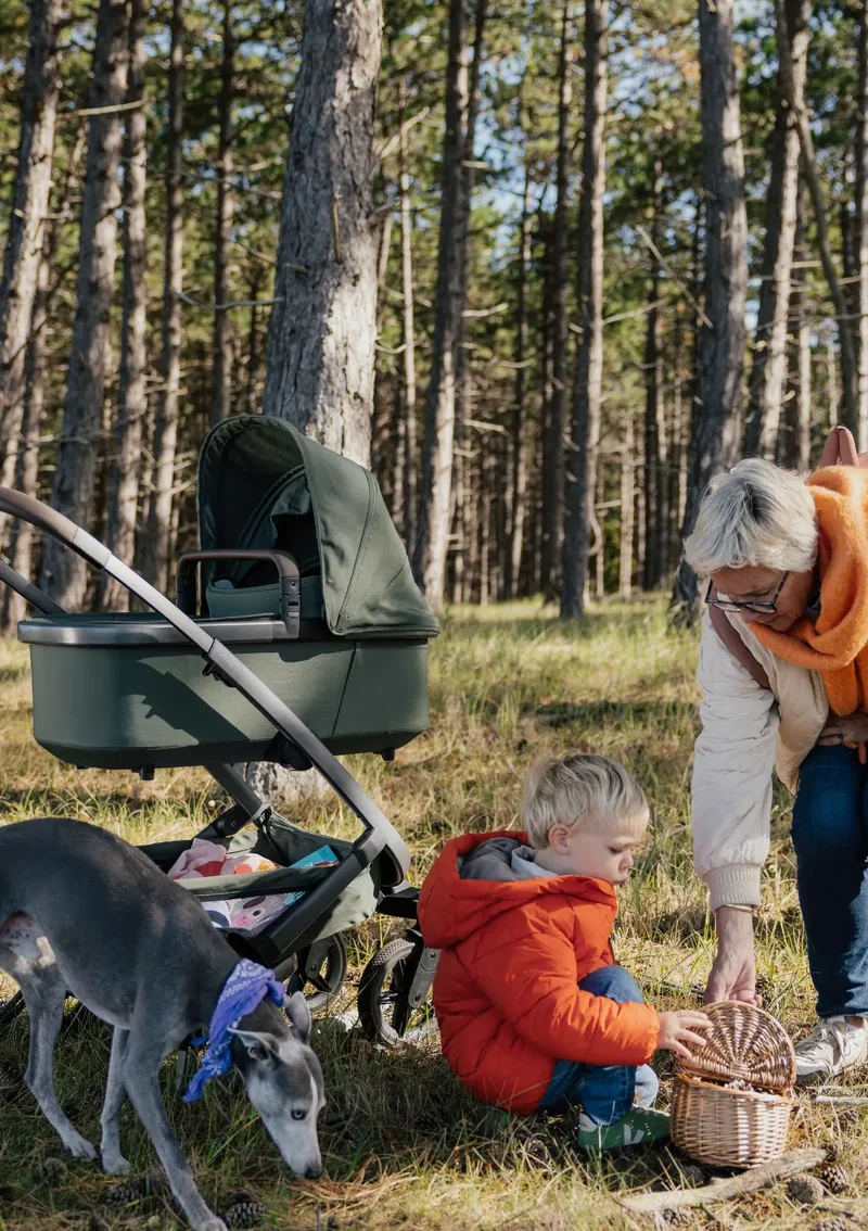 Kinderwagen-Set 'Geo5 Single' Forest Green