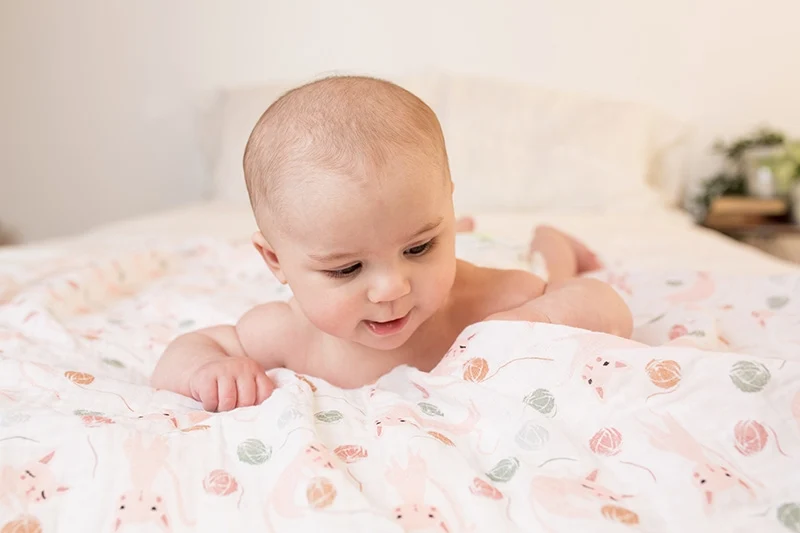 Lulujo Swaddle Mulltuch Pucktuch 120cm Katzen Rosa
