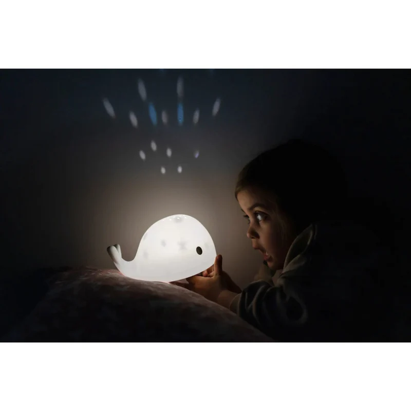 Flow Amsterdam Projector Moby