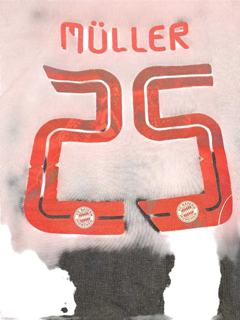 FC Bayern München Hoddie 152 | 12yrs
