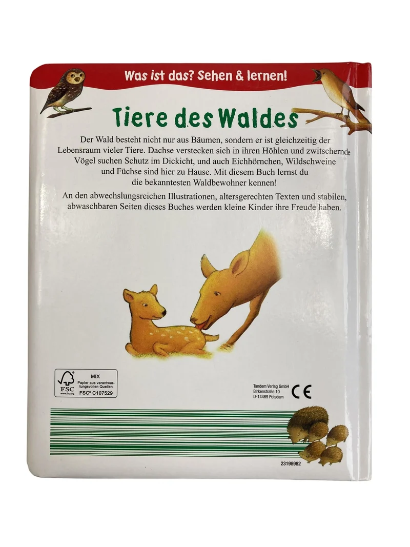 Tandem.Verlag Tiere des Waldes