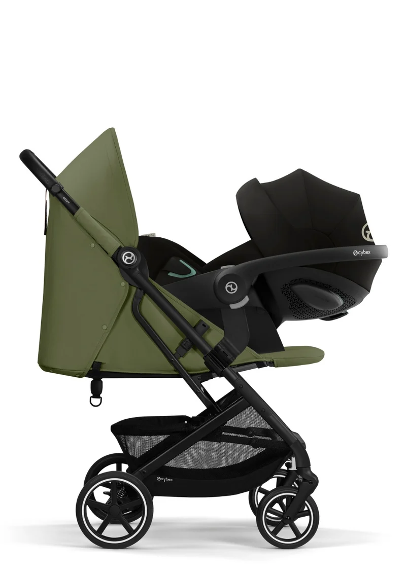 Buggy 'Beezy' Black / Moss Green