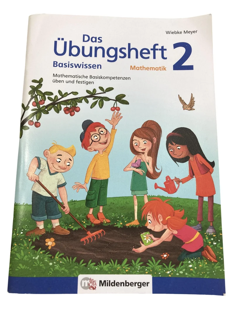 Mildenberger Mathematik - Das Übungsheft Basiswissen 2