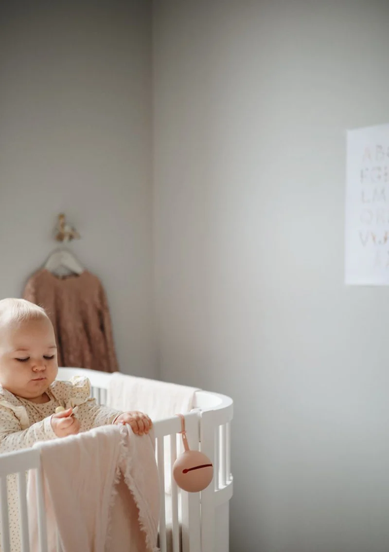 Silikon Schnuller Aufbewahrungsbox Cloudy Mauve