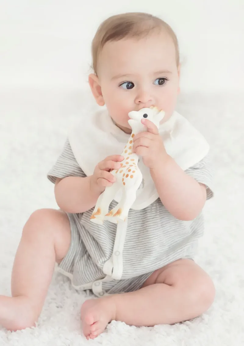 Sophie La Girafe Giraffe