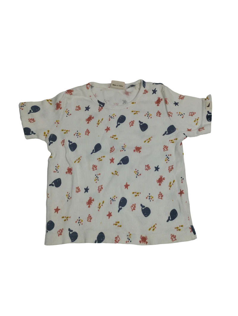 Turtledove Organics T-Sirt 80 | 12m