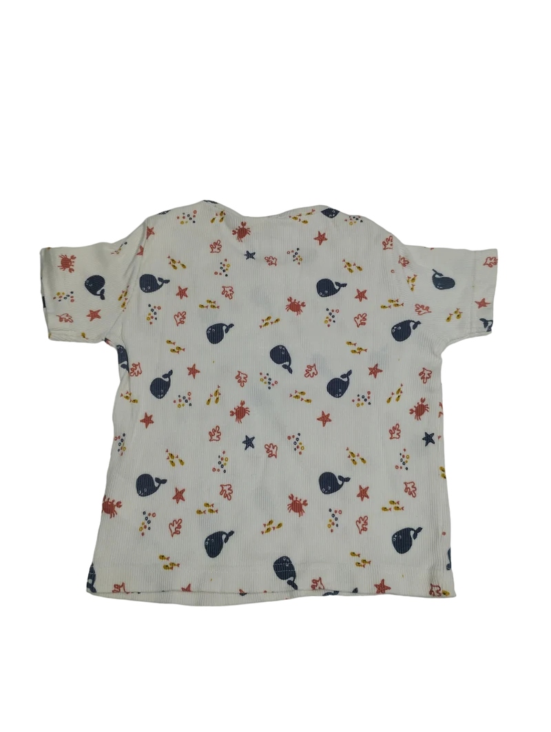 Turtledove Organics T-Sirt 80 | 12m
