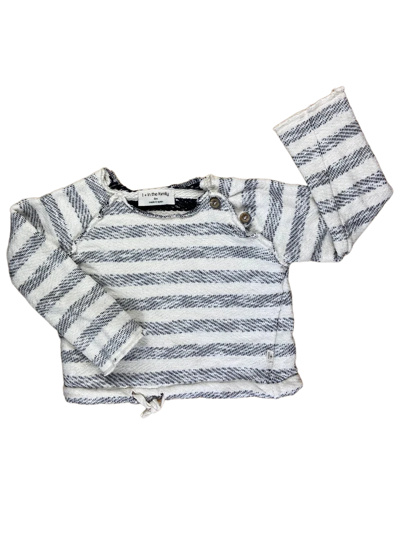 1+ in the Family Pullover 68