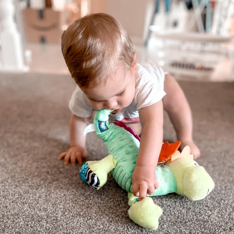 Playgro Sensory Friend Drache