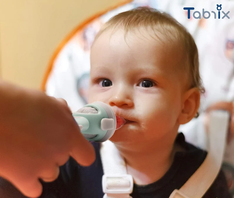 TABRIX gryzak podajnik na owoce dla dzieci 3 m+ 2 sztuki 6 ustników