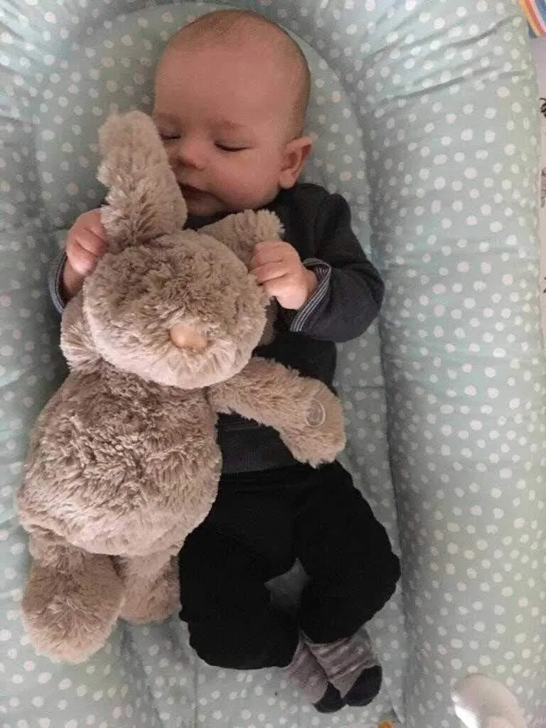 CALLOWESSE królik Dreamy Willow przytulanka z pozytywką 6 dźwięków