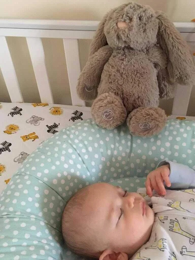 CALLOWESSE królik Dreamy Willow przytulanka z pozytywką 6 dźwięków