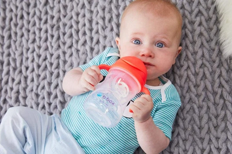 B.BOX Sippy Cup kubek niekapek 240 ml 6 m+